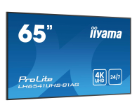 iiyama ProLite LH6541UHS-B1AG - 1538004 - zdjęcie 3